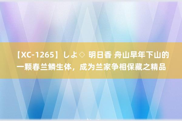 【XC-1265】しよ◇ 明日香 舟山早年下山的一颗春兰鳞生体，成为兰家争相保藏之精品