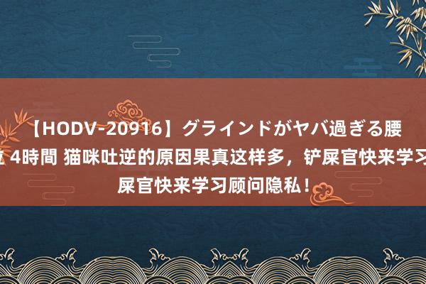 【HODV-20916】グラインドがヤバ過ぎる腰振り騎乗位 4時間 猫咪吐逆的原因果真这样多，铲屎官快来学习顾问隐私！