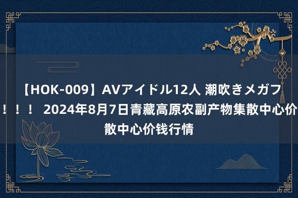 【HOK-009】AVアイドル12人 潮吹きメガファック！！！ 2024年8月7日青藏高原农副产物集散中心价钱行情