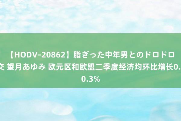 【HODV-20862】脂ぎった中年男とのドロドロ性交 望月あゆみ 欧元区和欧盟二季度经济均环比增长0.3%