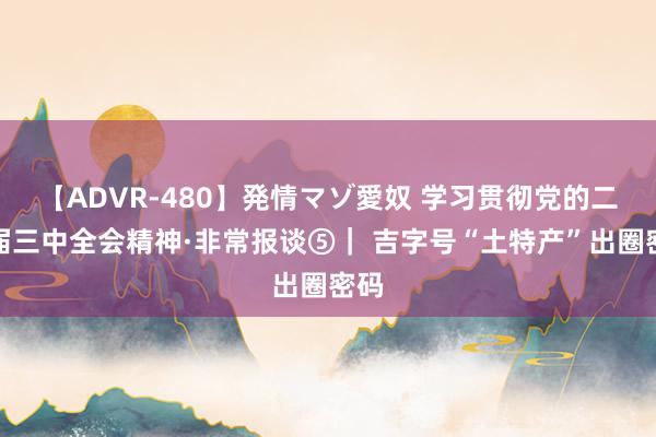 【ADVR-480】発情マゾ愛奴 学习贯彻党的二十届三中全会精神·非常报谈⑤｜ 吉字号“土特产”出圈密码