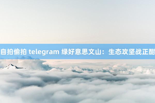 自拍偷拍 telegram 绿好意思文山：生态攻坚战正酣