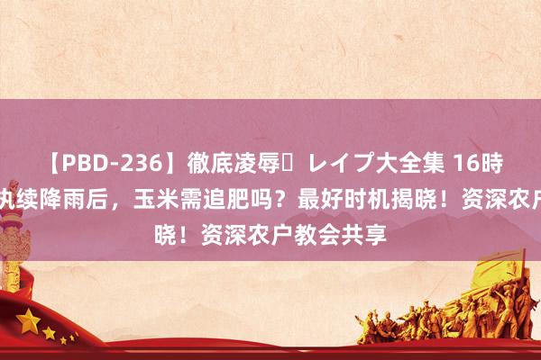 【PBD-236】徹底凌辱・レイプ大全集 16時間 第2集 执续降雨后，玉米需追肥吗？最好时机揭晓！资深农户教会共享