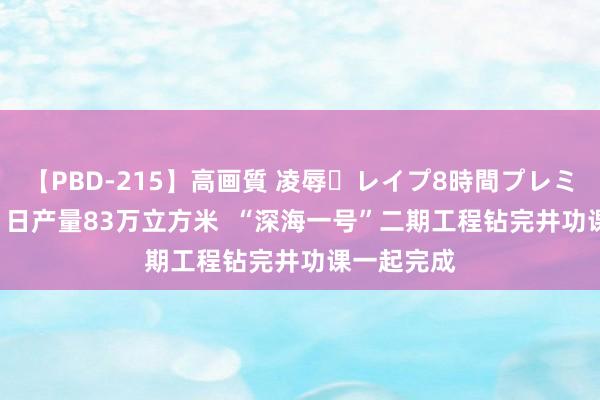 【PBD-215】高画質 凌辱・レイプ8時間プレミアムBEST 日产量83万立方米  “深海一号”二期工程钻完井功课一起完成