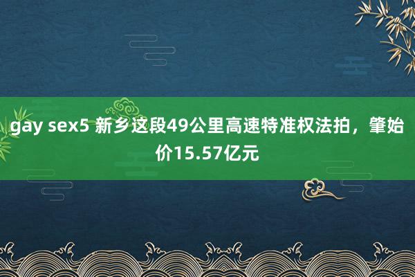 gay sex5 新乡这段49公里高速特准权法拍，肇始价15.57亿元