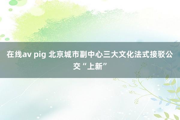 在线av pig 北京城市副中心三大文化法式接驳公交“上新”