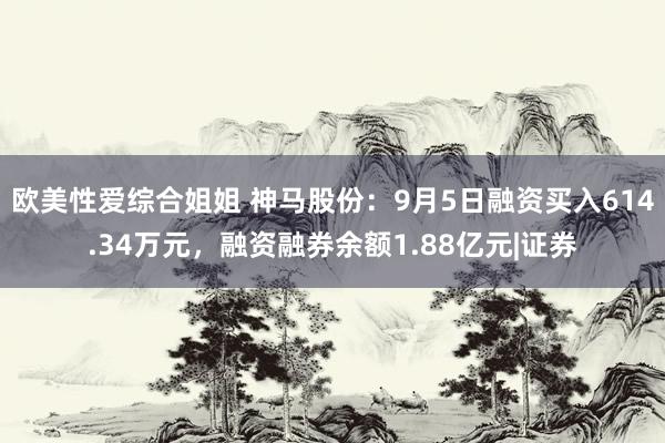 欧美性爱综合姐姐 神马股份：9月5日融资买入614.34万元，融资融券余额1.88亿元|证券