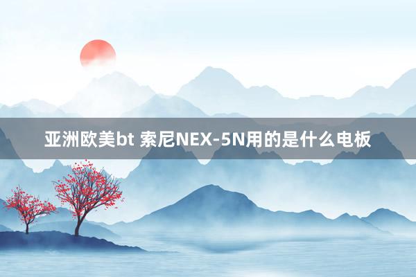 亚洲欧美bt 索尼NEX-5N用的是什么电板