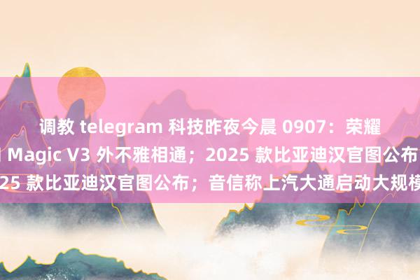 调教 telegram 科技昨夜今晨 0907：荣耀赵明酬金华为三折新机和 Magic V3 外不雅相通；2025 款比亚迪汉官图公布；音信称上汽大通启动大规模裁人