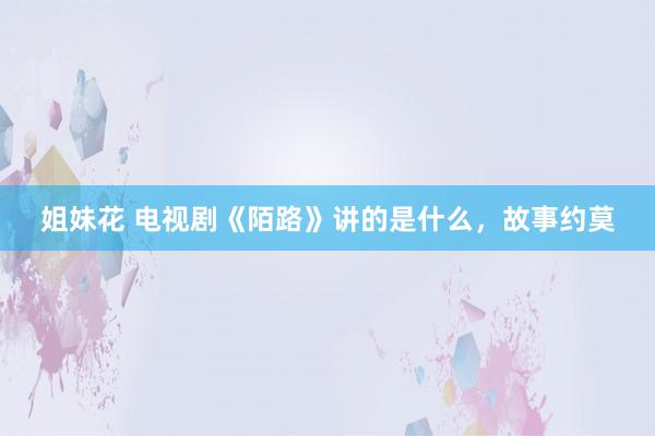 姐妹花 电视剧《陌路》讲的是什么，故事约莫