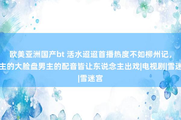 欧美亚洲国产bt 活水迢迢首播热度不如柳州记，女主的大脸盘男主的配音皆让东说念主出戏|电视剧|雪迷宫