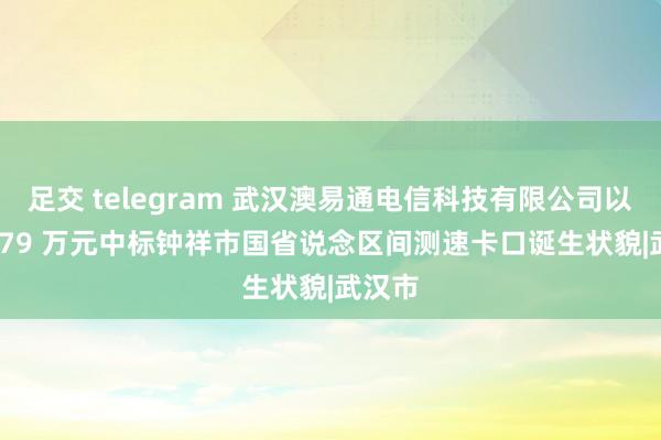 足交 telegram 武汉澳易通电信科技有限公司以 377.79 万元中标钟祥市国省说念区间测速卡口诞生状貌|武汉市