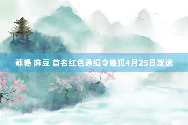 蘇暢 麻豆 首名红色通缉令嫌犯4月25日就逮