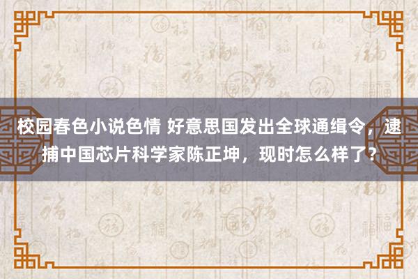 校园春色小说色情 好意思国发出全球通缉令，逮捕中国芯片科学家陈正坤，现时怎么样了？